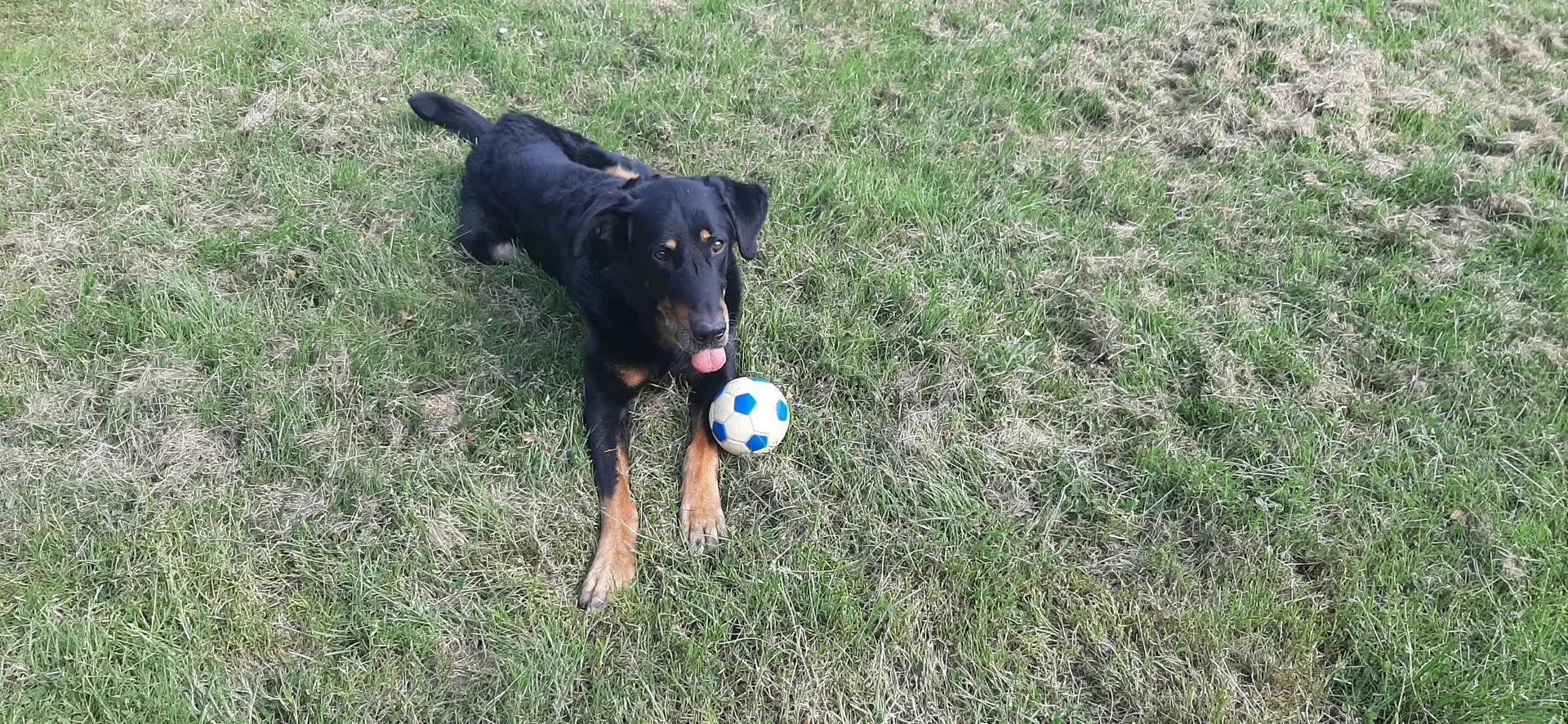 SANKA