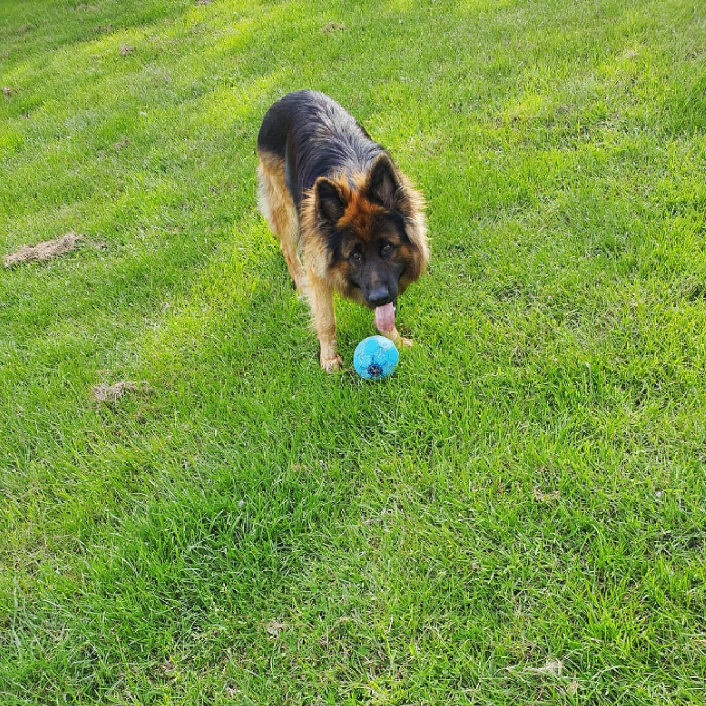 ROSKO