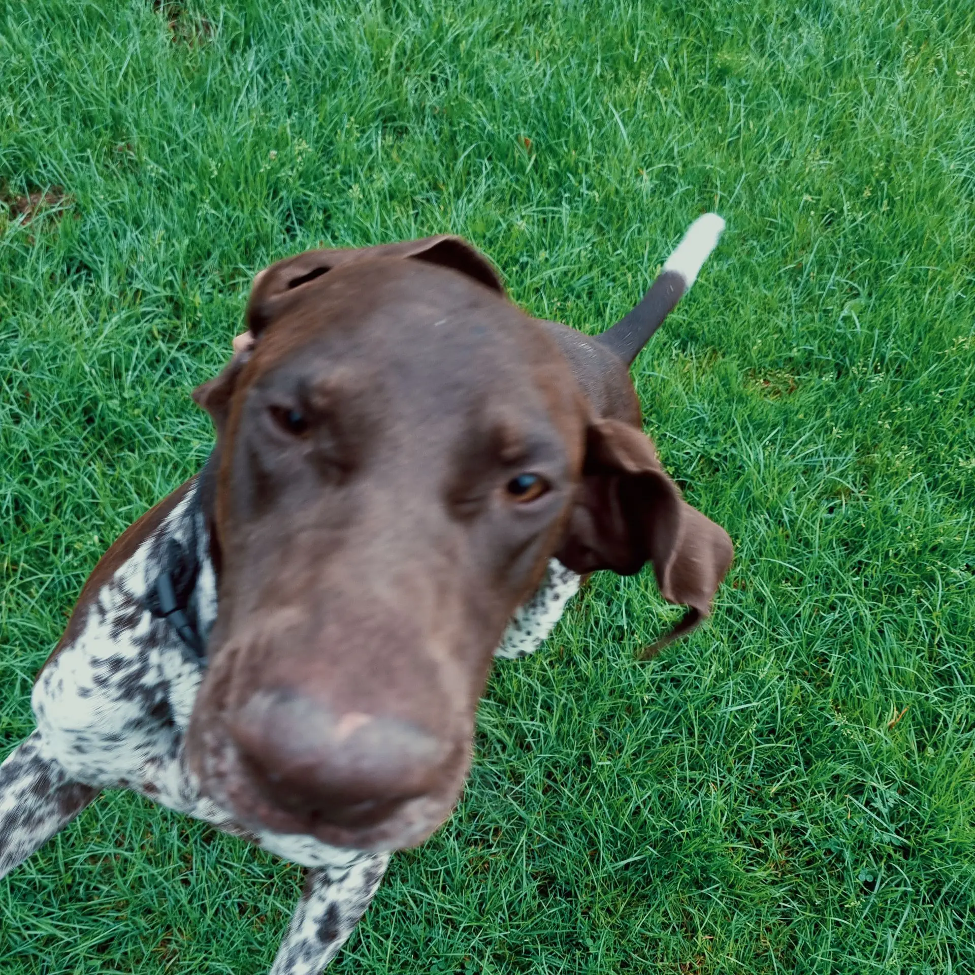 JACK