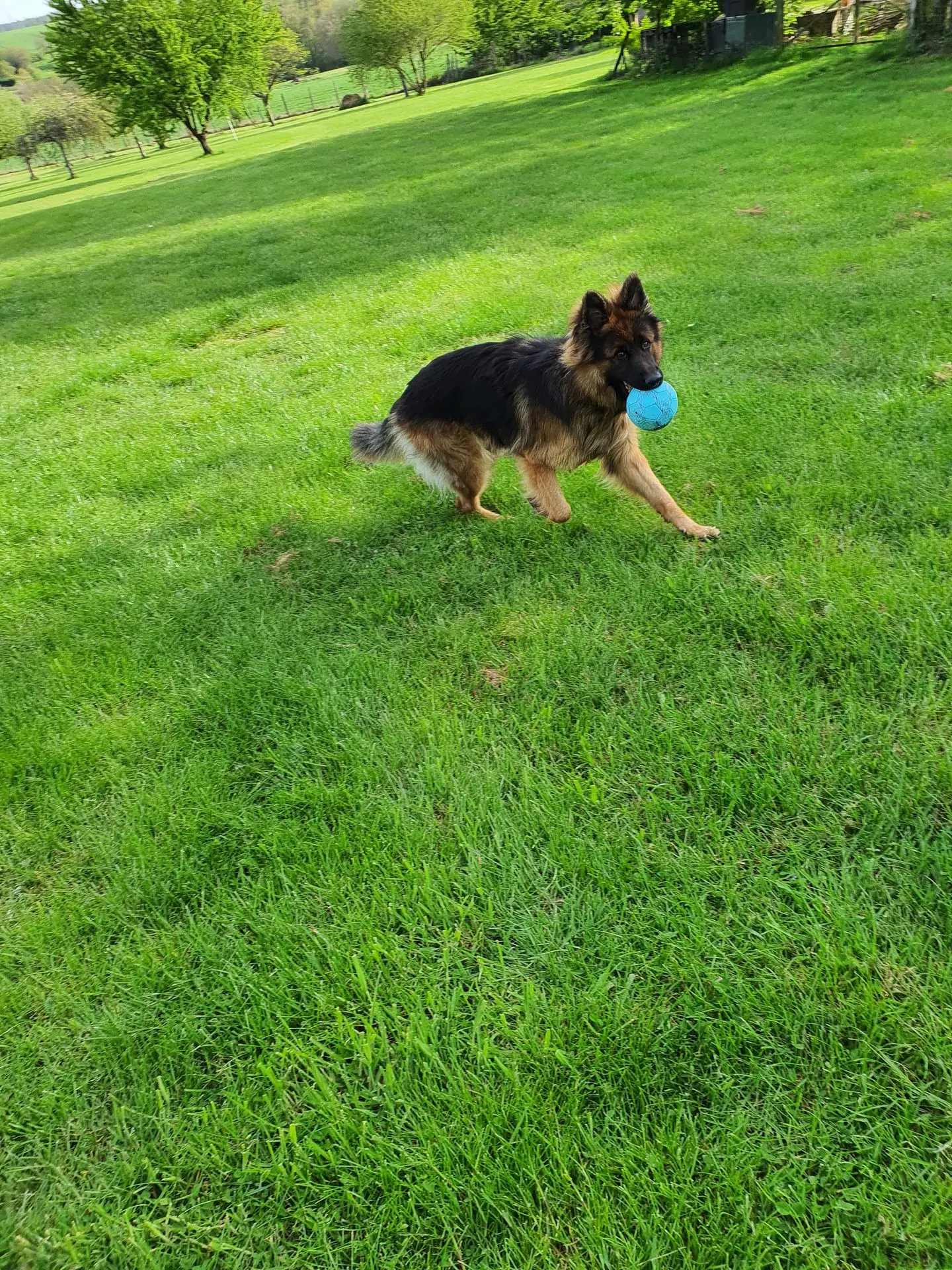 ROSKO