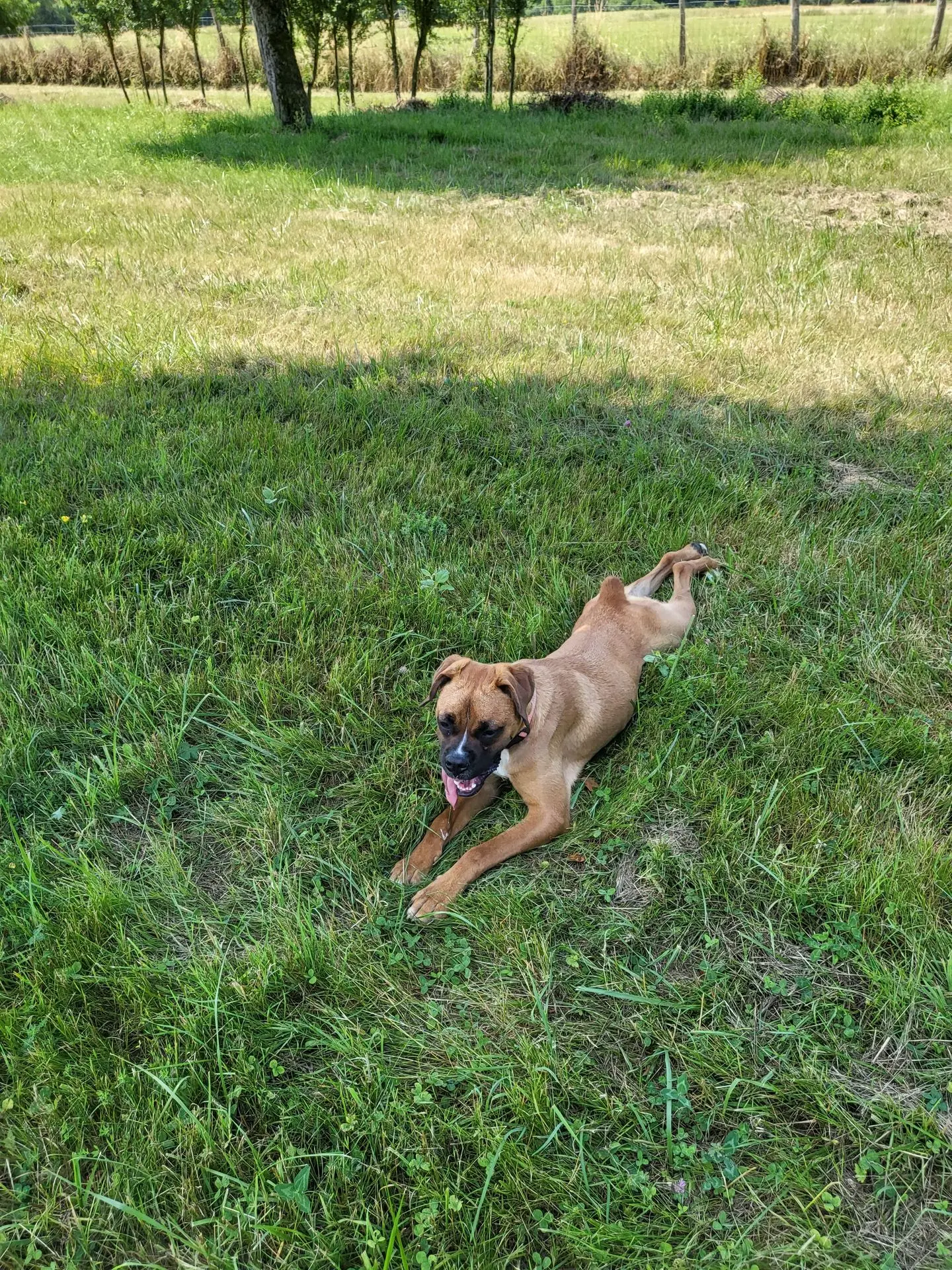 TONKA