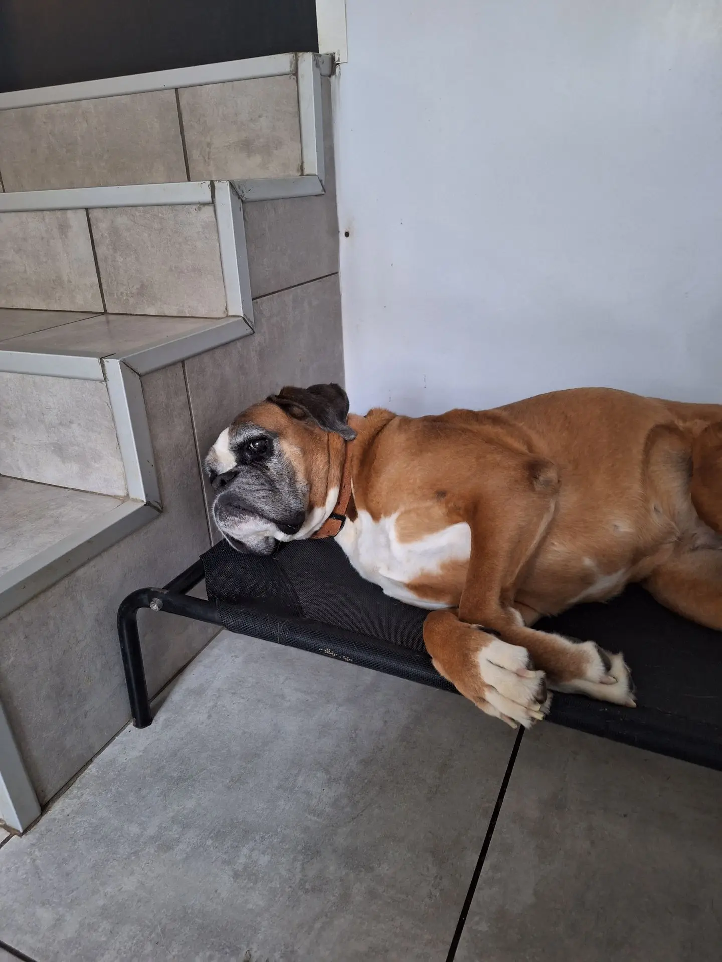 LULU