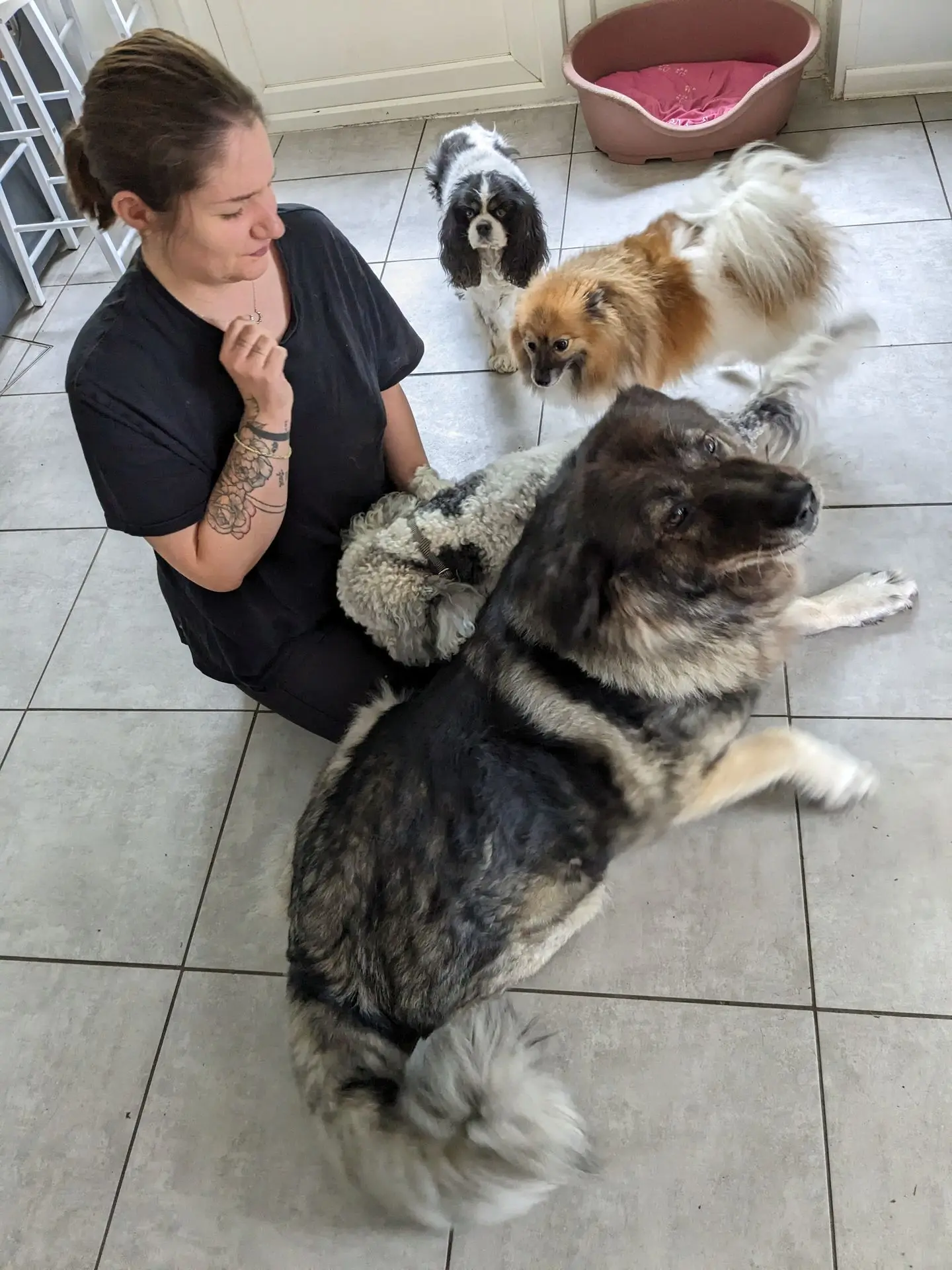 LILLIE MUSHU BELLE EDEN