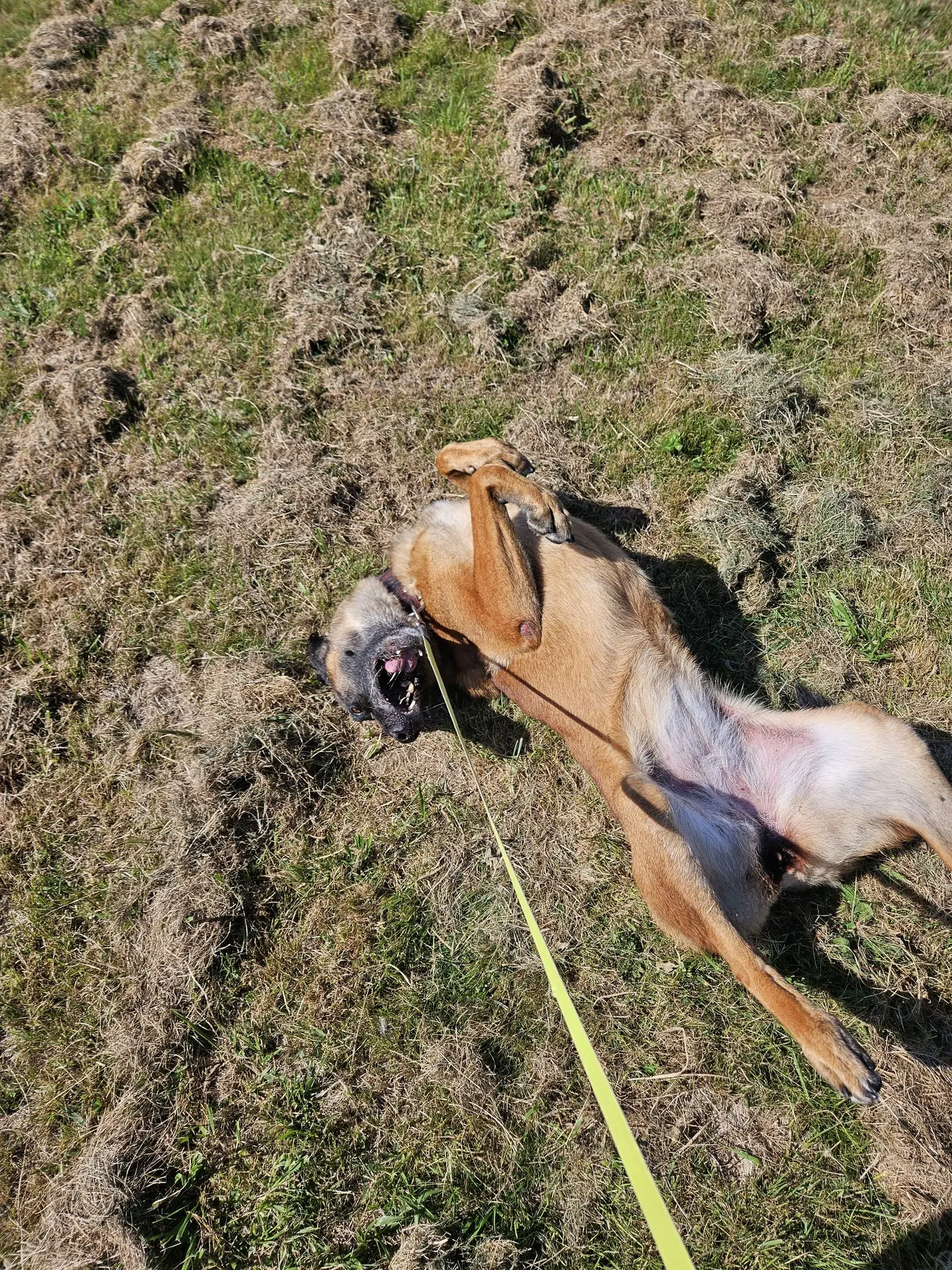 LUNA