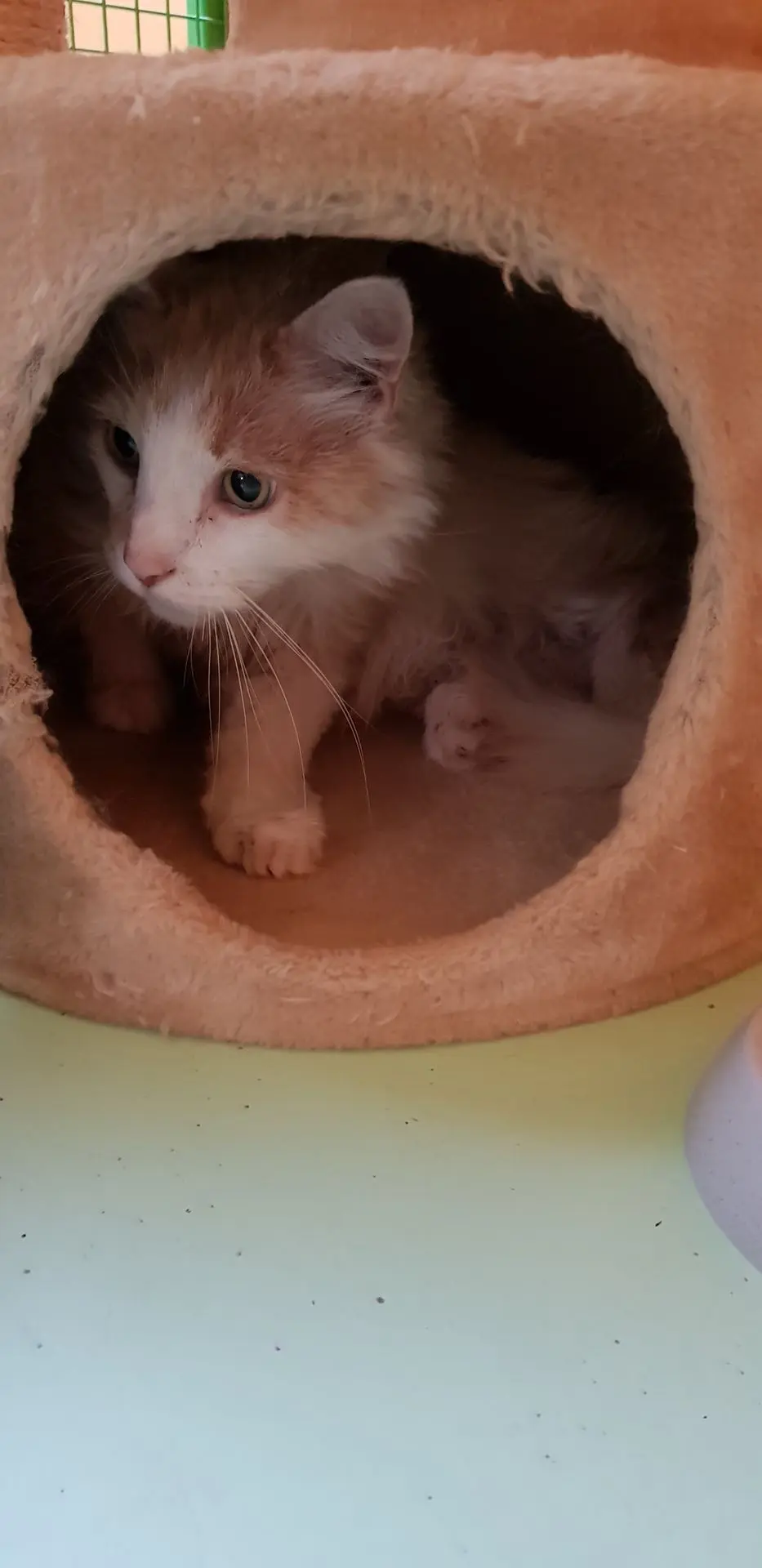 BERLIOZ