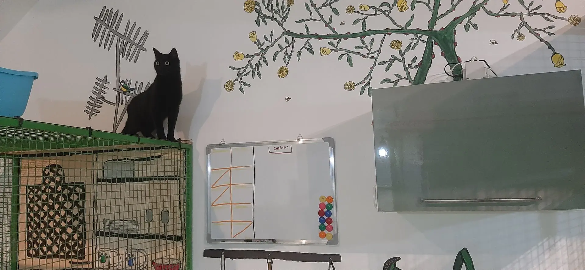 CHATOUNE