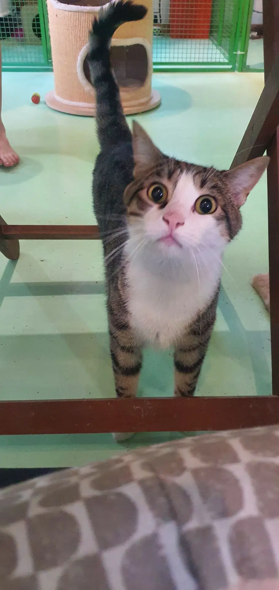 MICKY