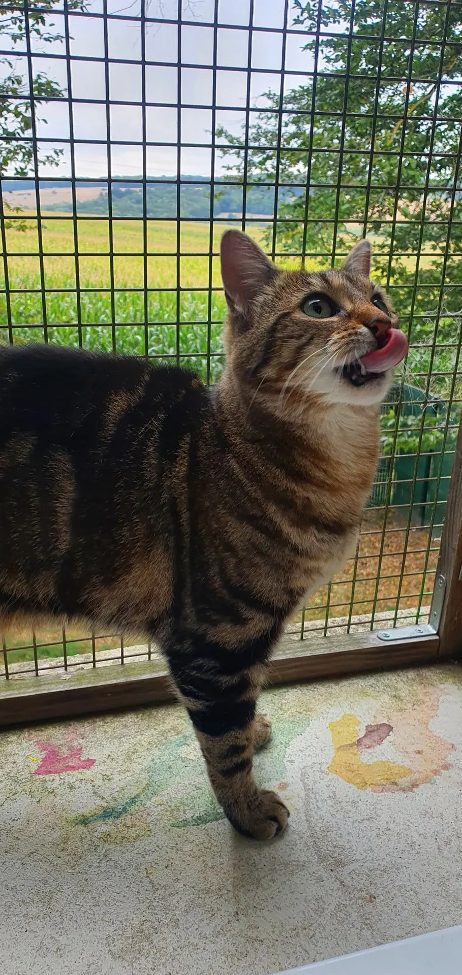 POUPETTE