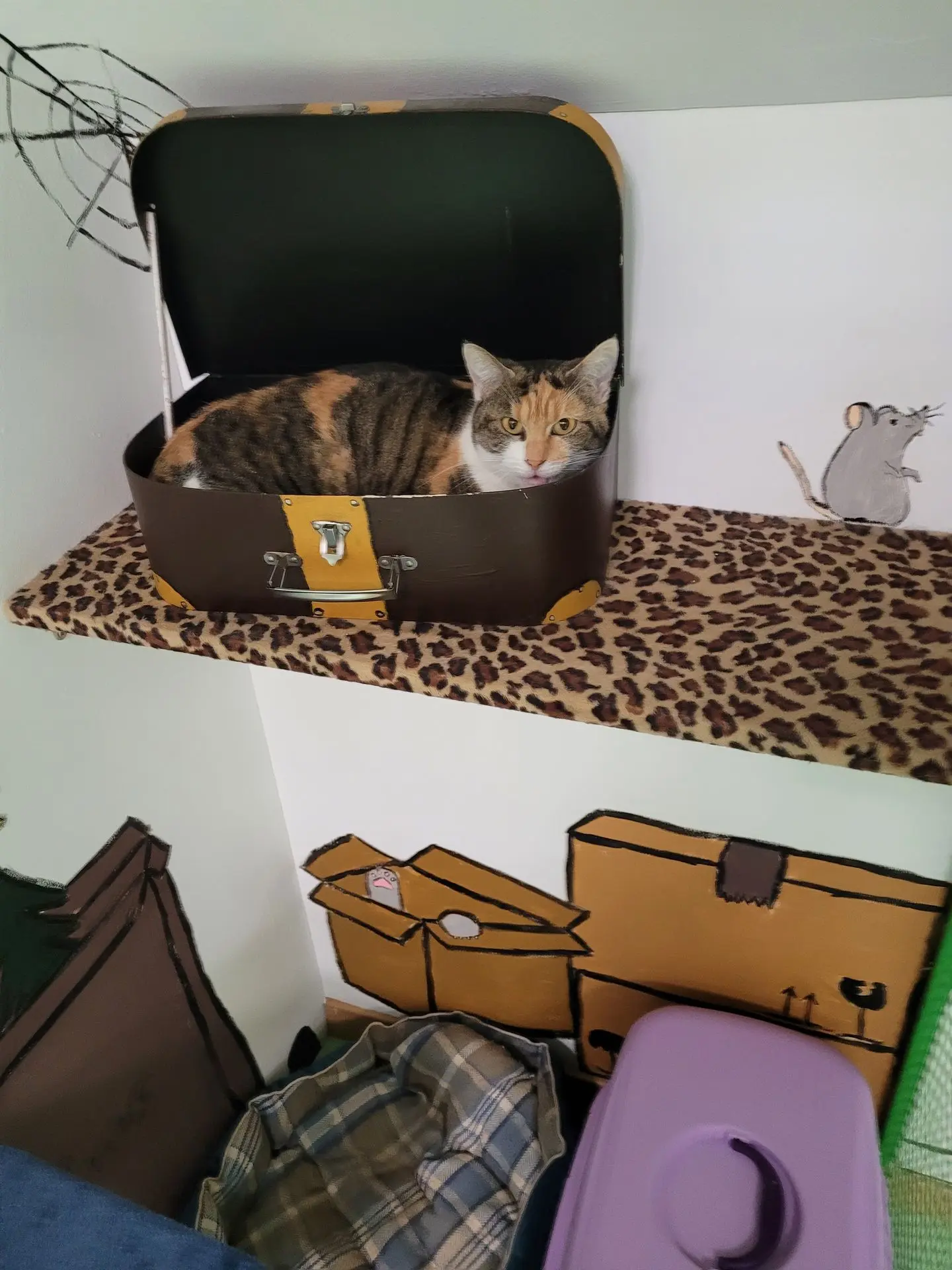IZIA