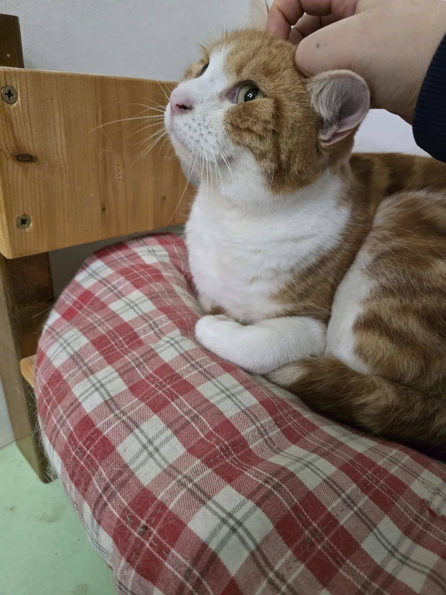 AIKO