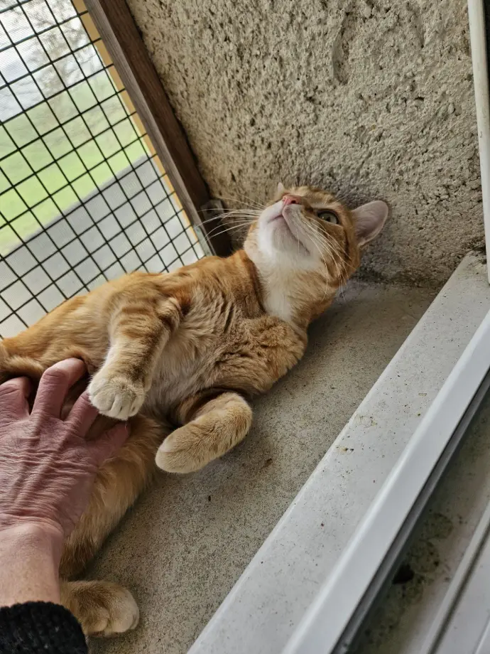 GUS